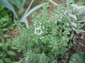 Enlarge photo 28