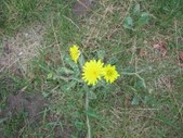 Enlarge photo 34
