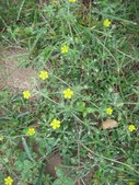 Enlarge photo 35