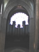 Enlarge photo 62