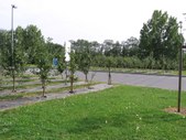 Enlarge photo 86