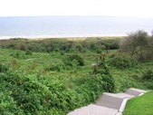 Enlarge photo 112