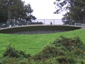 Enlarge photo 113