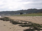 Enlarge photo 114