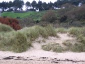 Enlarge photo 116