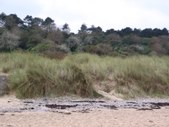 Enlarge photo 117