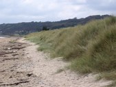 Enlarge photo 120