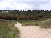 Enlarge photo 121