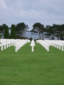 Enlarge photo 129