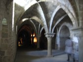 Enlarge photo 223