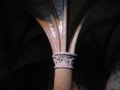 Enlarge photo 226