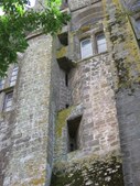 Enlarge photo 259