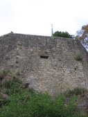 Enlarge photo 275