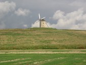 Enlarge photo 280