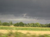 Enlarge photo 281