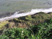 Enlarge photo 295