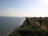 Enlarge photo 297