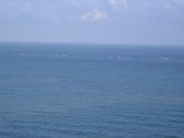 Enlarge photo 298