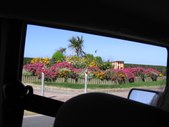 Enlarge photo 331