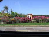 Enlarge photo 332
