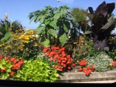 Enlarge photo 333