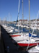 Enlarge photo 338