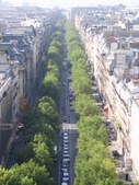 Enlarge photo 462