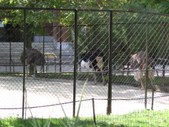 Enlarge photo 727