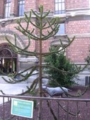 Enlarge photo 733