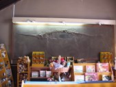 Enlarge photo 822