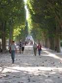 Enlarge photo 823
