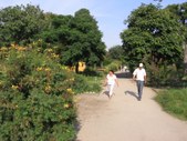 Enlarge photo 828
