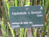 Enlarge photo 832