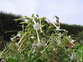 Enlarge photo 841