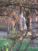 Enlarge photo 870