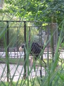 Enlarge photo 871