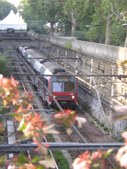 Enlarge photo 874