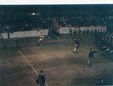 Enlarge photo 535