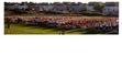 Enlarge photo 178