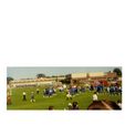 Enlarge photo 163