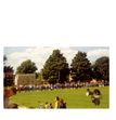 Enlarge photo 160