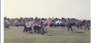 Enlarge photo 147