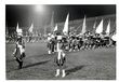 Enlarge photo 136