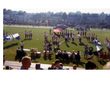 Enlarge photo 175