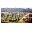 Enlarge photo 173