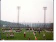 Enlarge photo 347