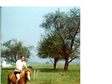 Enlarge photo 371