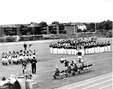 Enlarge photo 388