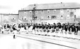 Enlarge photo 276