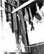 Enlarge photo 398